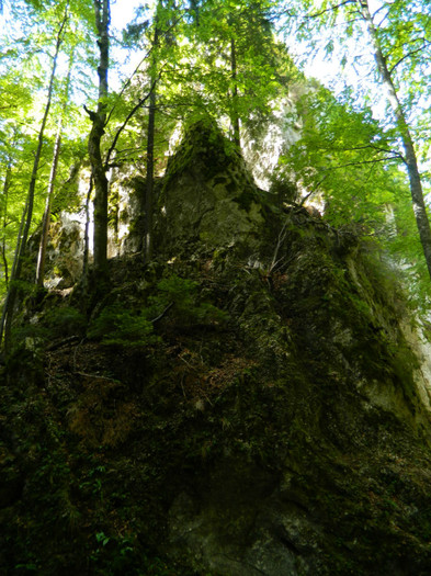 DSCN1006 - 4 Vacanta Septembrie 2012