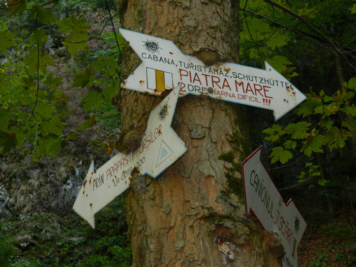 DSCN1007 - 4 Vacanta Septembrie 2012