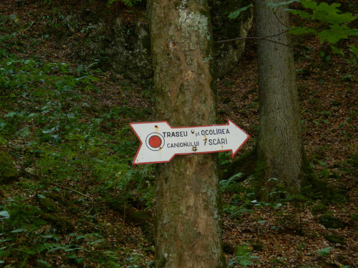 DSCN1008 - 4 Vacanta Septembrie 2012