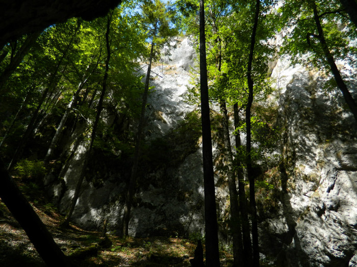 DSCN1012 - 4 Vacanta Septembrie 2012