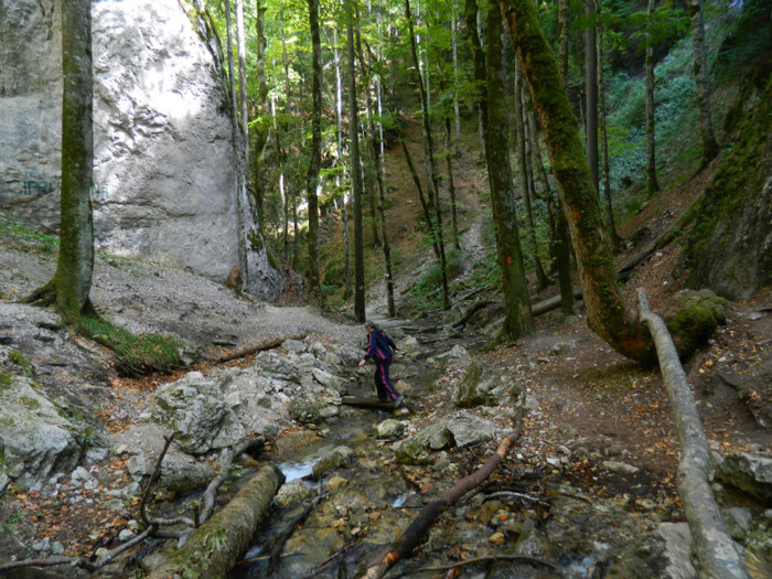 DSCN1018 - 4 Vacanta Septembrie 2012