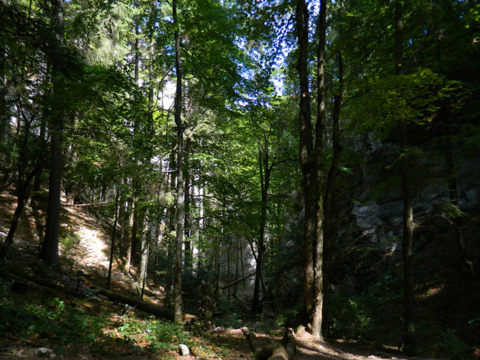 DSCN1024 - 4 Vacanta Septembrie 2012