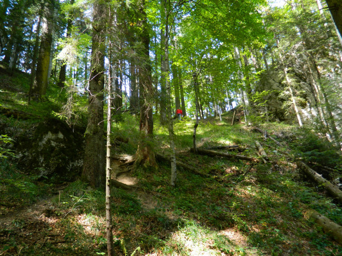 DSCN1025 - 4 Vacanta Septembrie 2012