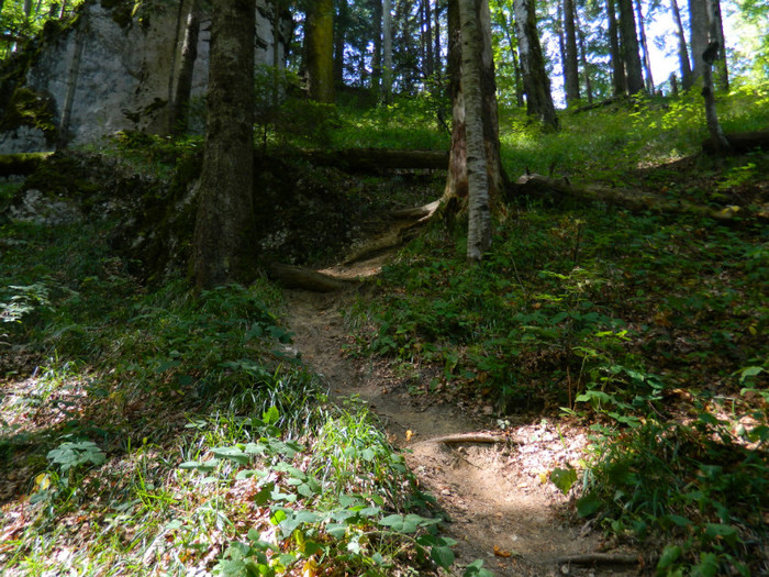 DSCN1028 - 4 Vacanta Septembrie 2012