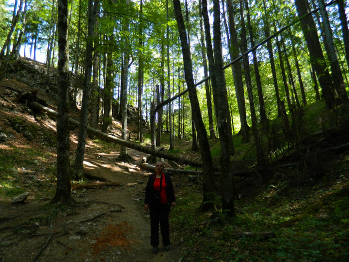 DSCN1037 - 4 Vacanta Septembrie 2012