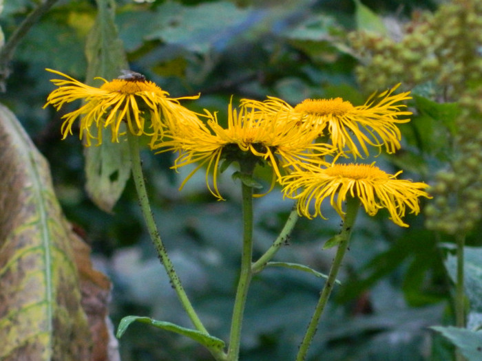 DSCN1040 - 4 Vacanta Septembrie 2012