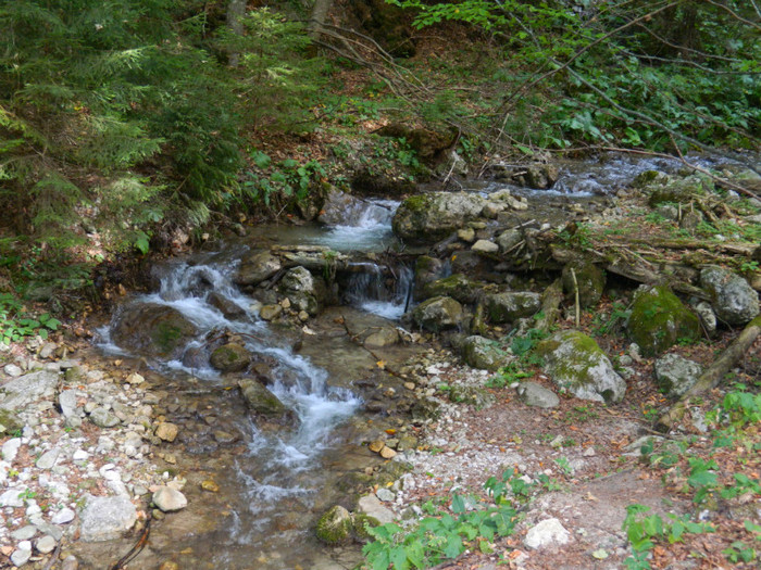 DSCN1046 - 4 Vacanta Septembrie 2012