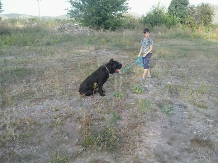 Tati,asculta  si la mine ,sezi !