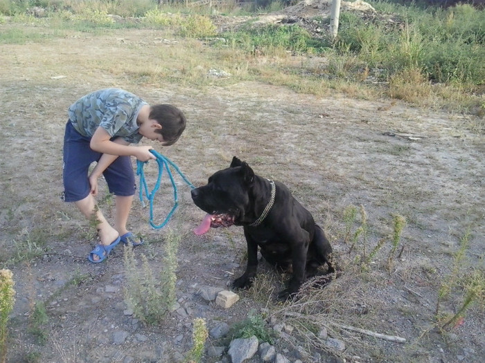 Ma asculta ares,dar ma inteapa o iarba