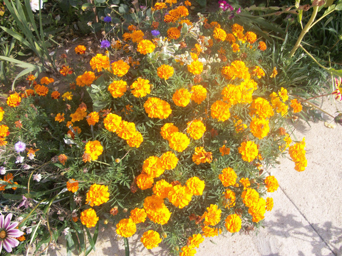 100_4520 - craite 2012