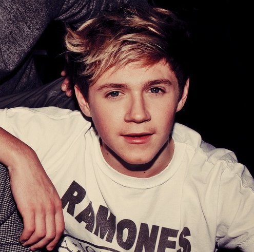 1 - niall horan