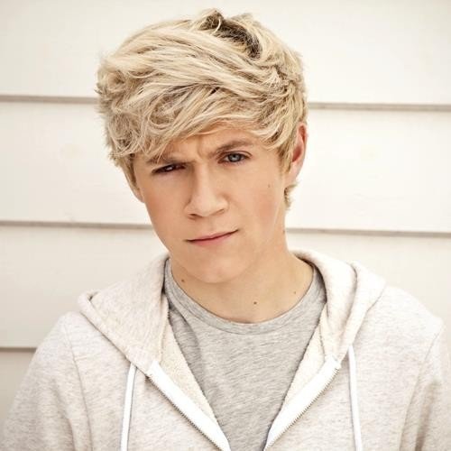 1derful-3-niall-horan-28938739-500-500