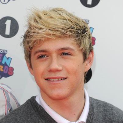 295280_372294169508117_762117595_n - niall horan