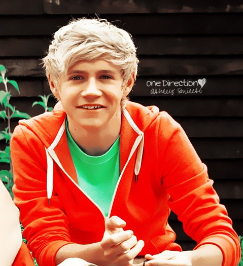 75398128_WJOKDWH - niall horan