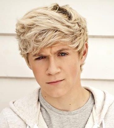 77983373_CNWSFGD - niall horan