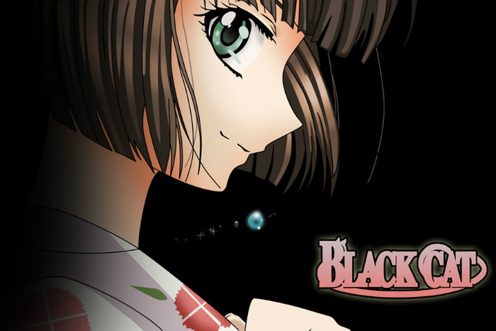 1 - Black Cat