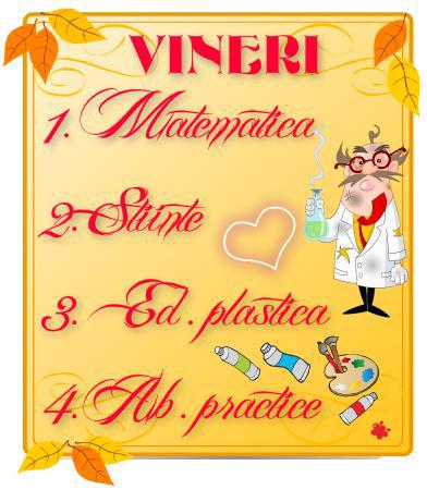 vineri - 2012-2013 INFO