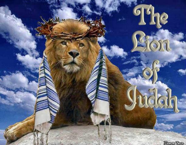 lionofjudah