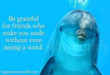 gfdsgbdhd.jpegfgdsgsdf - Make You Smile