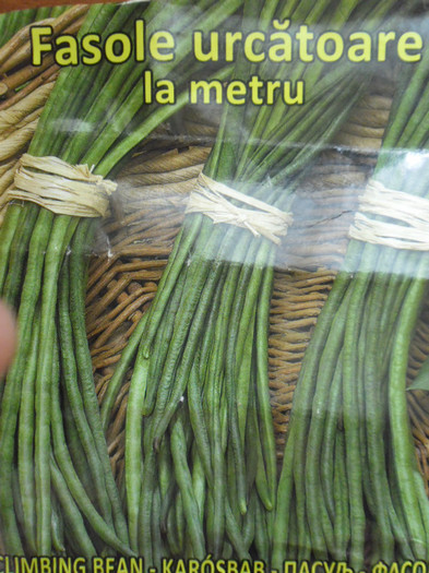 fasole la metru 4; fasole la metru
