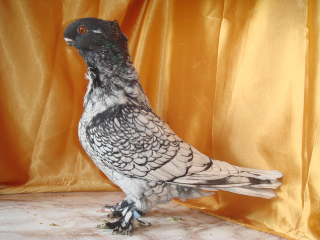 DSC02873