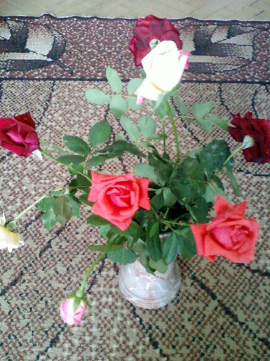 30 sept 2012-flori 054 - trandafiri de gradina