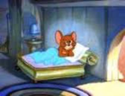 images - tom si jerry