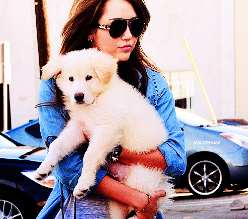 . tumblr with . Miley (29)