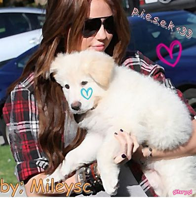 miley cyrus 001 (55)