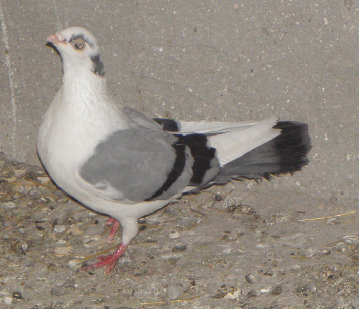 P4010301
