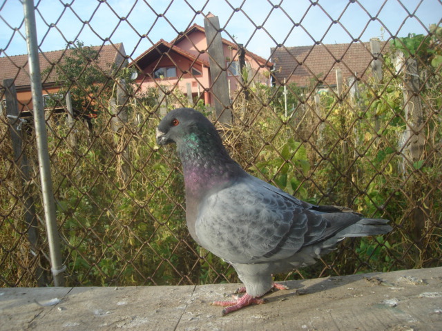 DSC06643