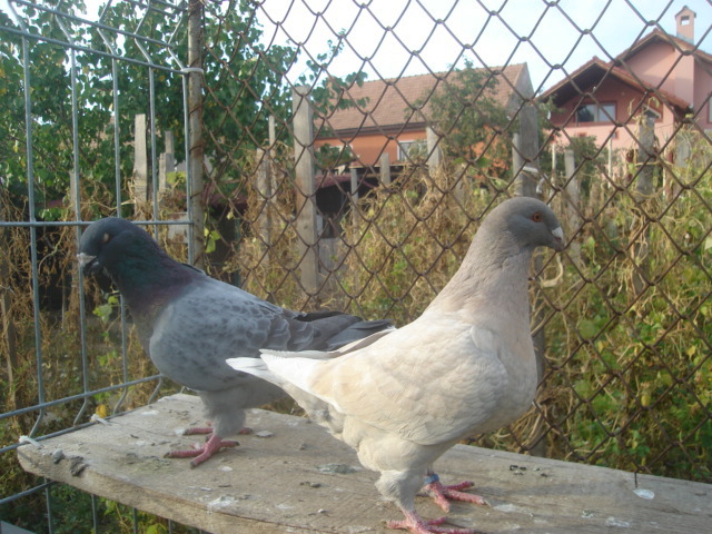 DSC06659