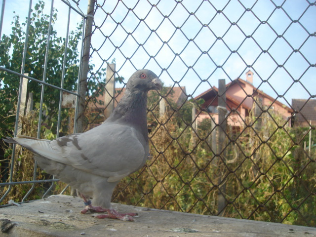 DSC06671