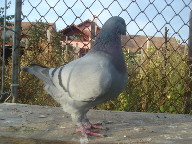 DSC06672