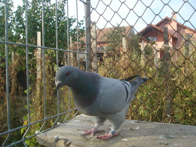 DSC06674