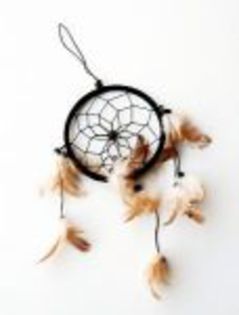 dream_catcher_2921939