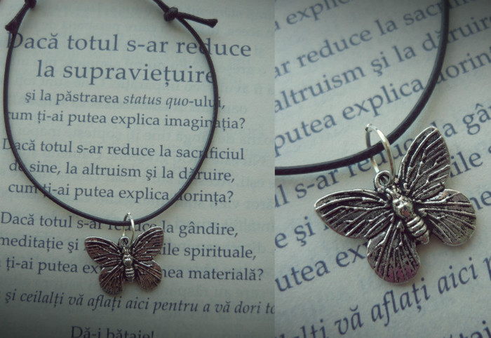 butterfly1