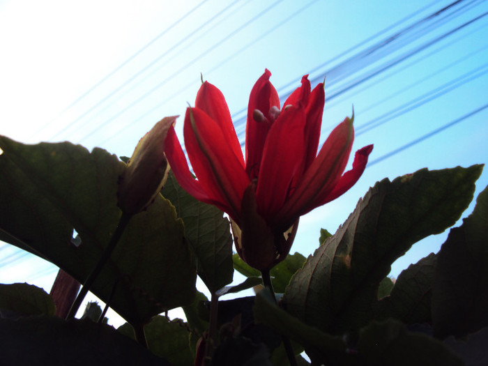 DSC00882