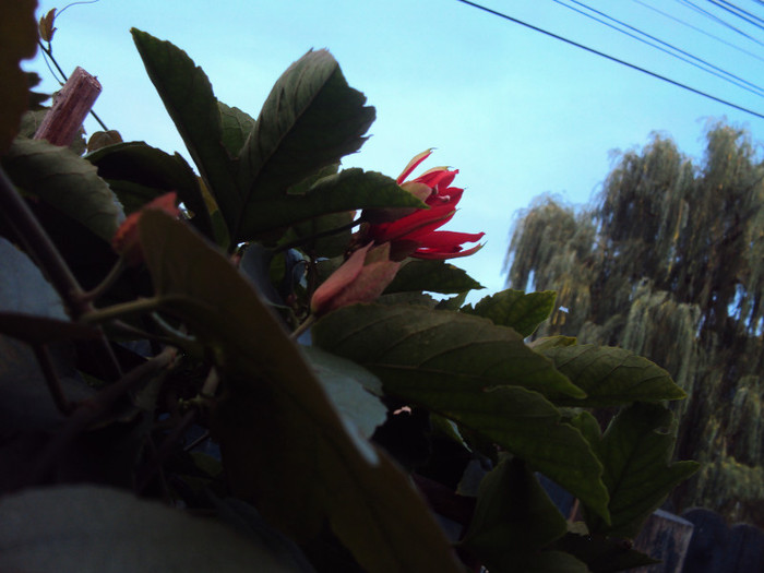DSC00884