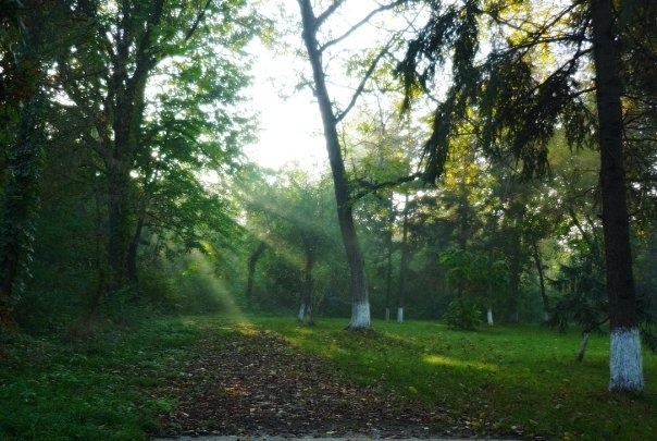Green City - Green City