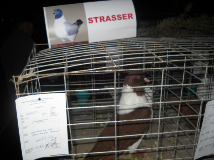 Picture 020