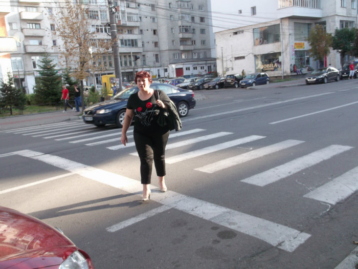 am calcat o.......zebra. - SINGURATATEA ALERGATORULUI DE CURSA LUNGA