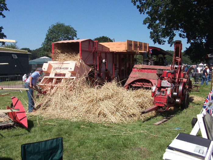 DSCF3712 - New Forest Show