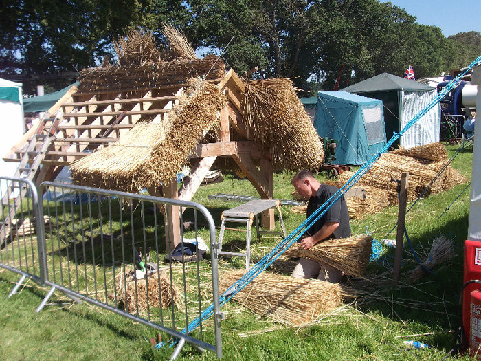 DSCF3714 - New Forest Show