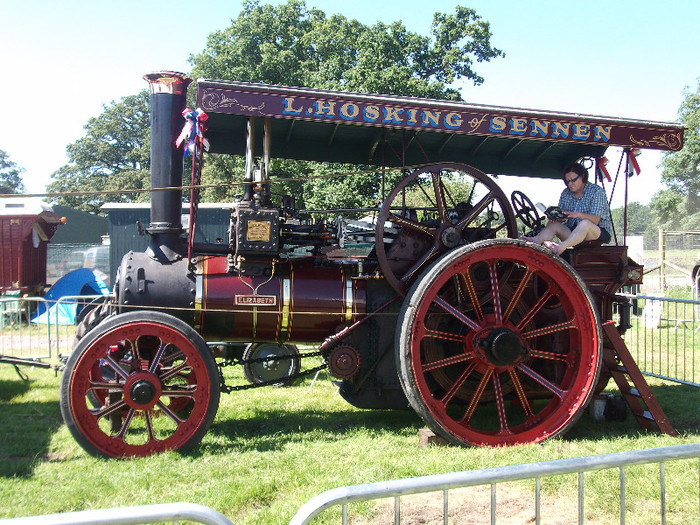 DSCF3715 - New Forest Show