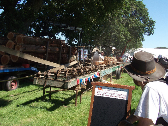 DSCF3717 - New Forest Show