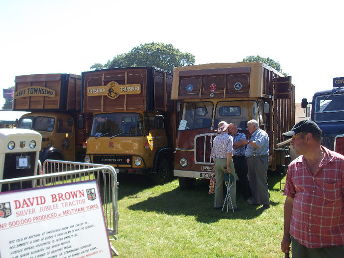 DSCF3721 - New Forest Show
