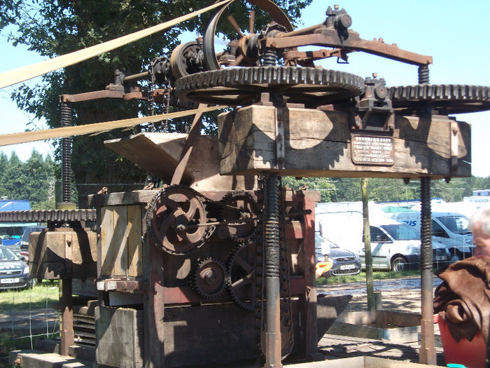 DSCF3723 - New Forest Show