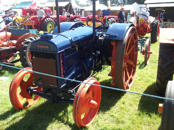 DSCF3726 - New Forest Show