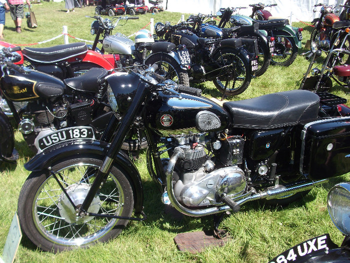 DSCF3735 - New Forest Show